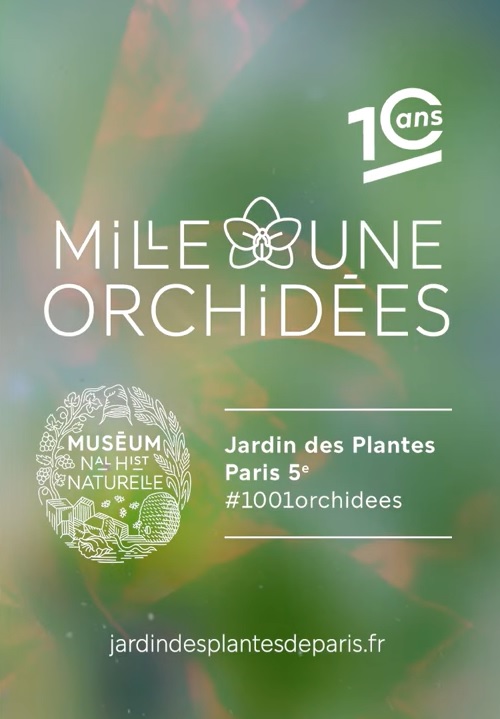 Exposition 1001 orchidées aux Grandes serres du Jardin des Plantes